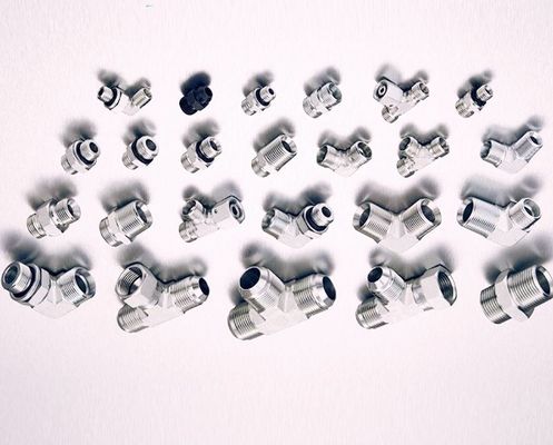 Bsp Fittings Adaptore idraulico per acciaio inossidabile DIN Standard